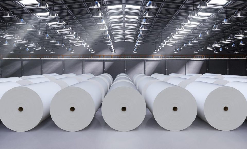 JK Paper Rises After Q2 PAT Soars to Rs 324 Cr Equitypandit