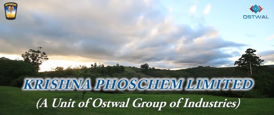 Board had given in-principle approval to establish a 500 TPD DAP/NPK fertiliser and 300 TPD Sulphuric acid plant.