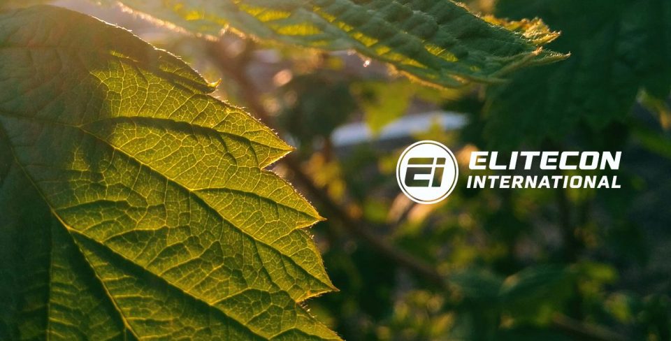 Elitecon International